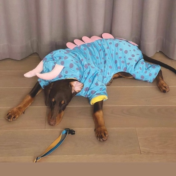 Meet your Posher, Janey - Picture 1 of 1